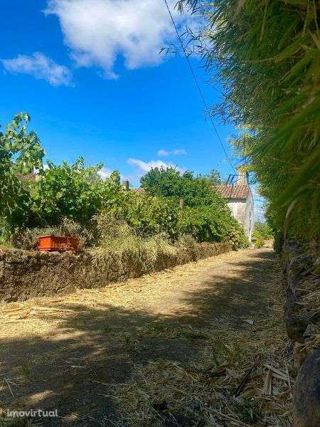 Quinta Pontão da Baía - Castelo de Vide - Grande imagem: 4/12