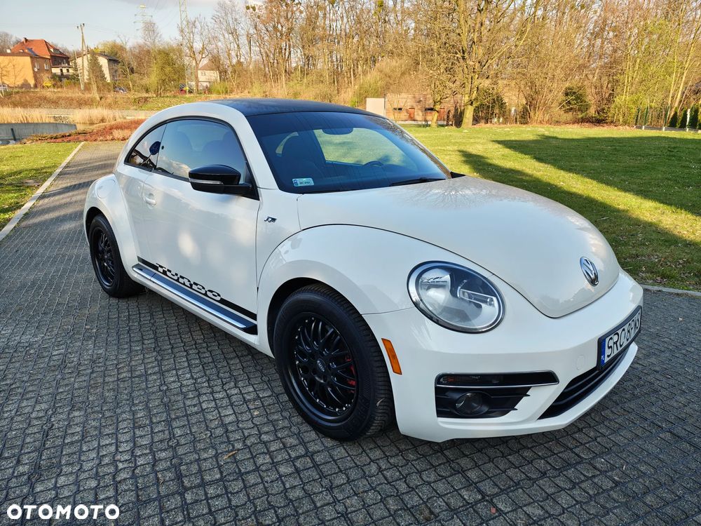 Volkswagen Beetle - 1