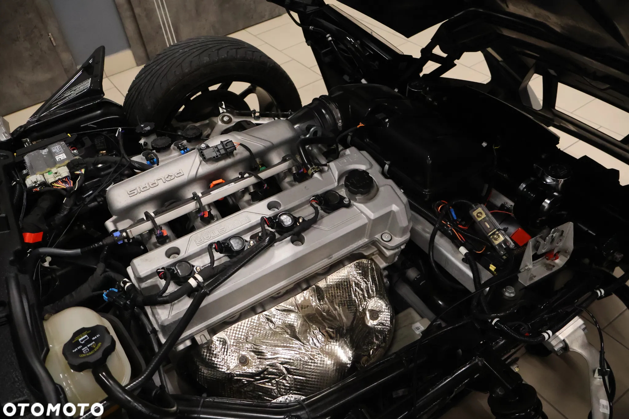 Polaris Inny - 25