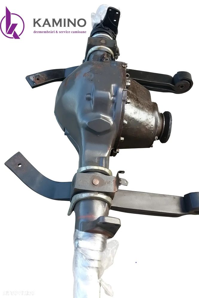 Punte spate Renault Magnum 460 DXI - 3