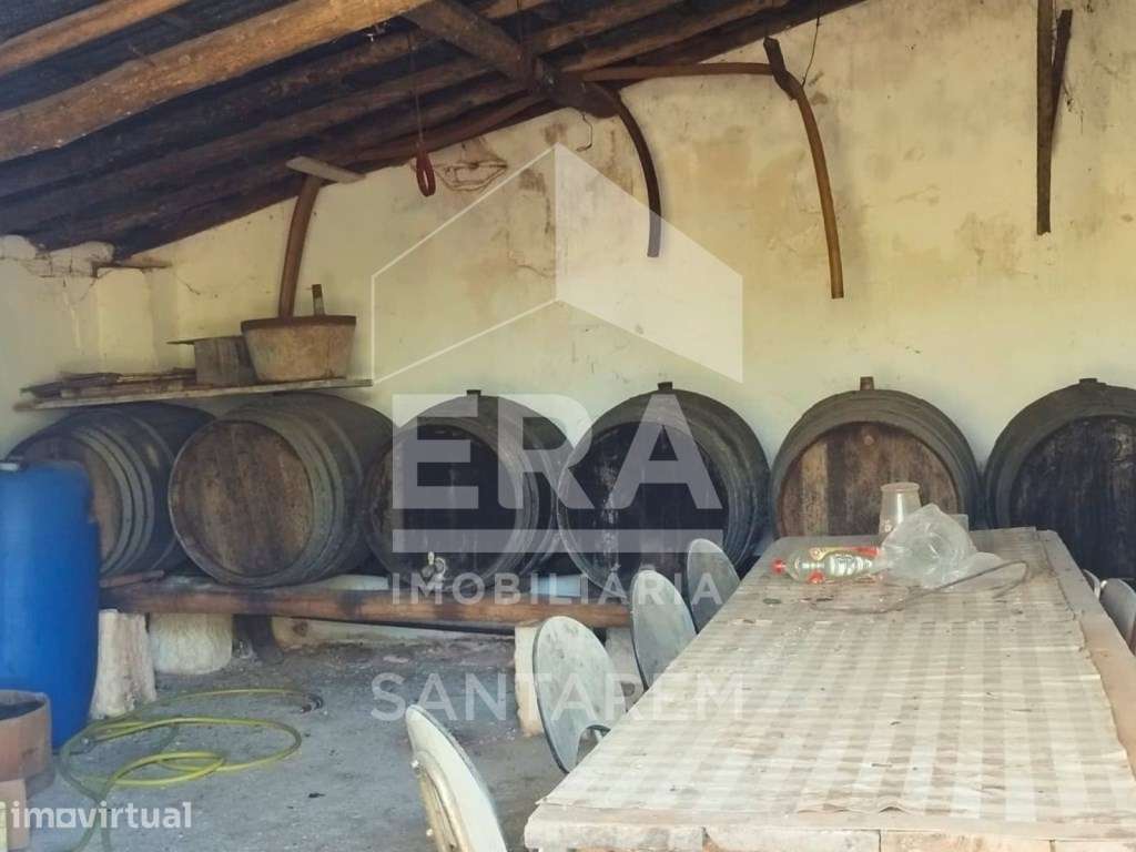 Armazém e atividade industrial na Póvoa da Isenta - Grande imagem: 5/8