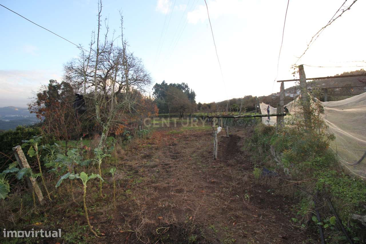 Terreno para construção - Grande imagem: 4/20
