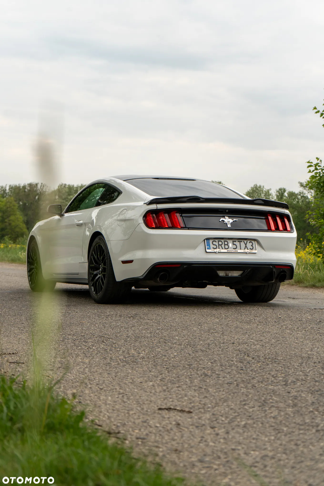 Ford Mustang - 4