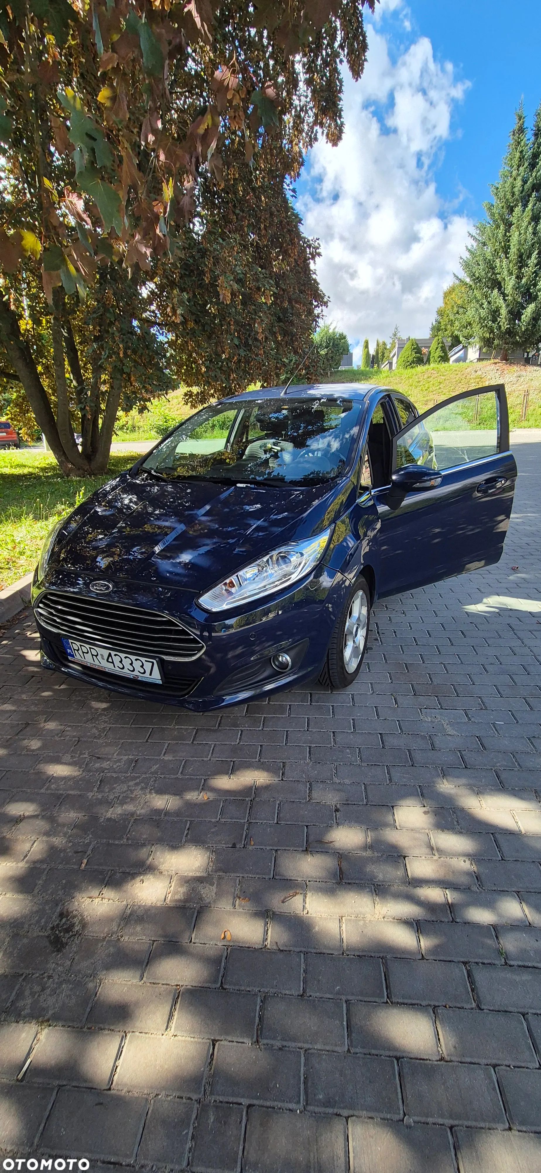Ford Fiesta 1.6 TDCI Titanium - 1