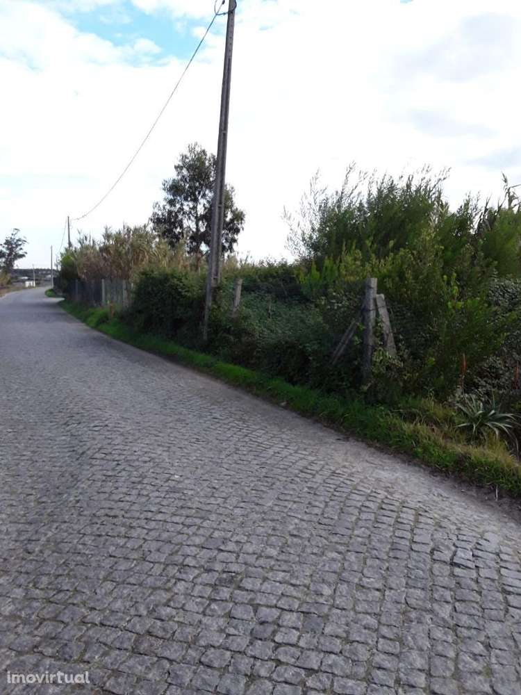 Terreno em Apúlia - Grande imagem: 4/6