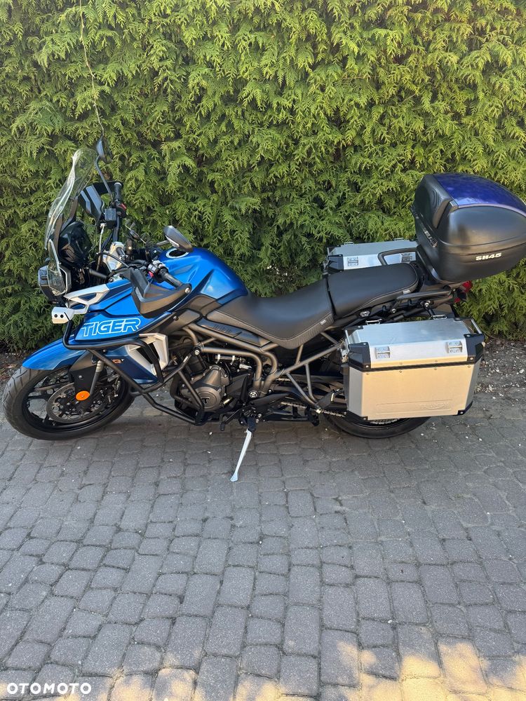 Triumph Tiger - 2