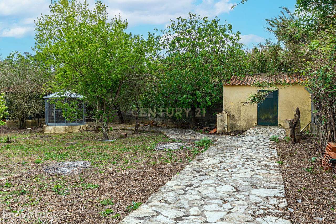 Moradia em quintinha no Cartaxo - Grande imagem: 3/28