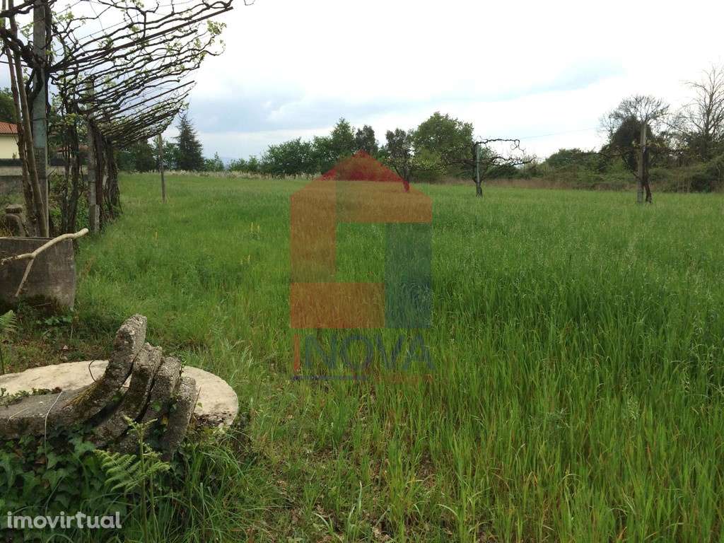 Terreno agrícola, Coucieiro - Grande imagem: 2/13