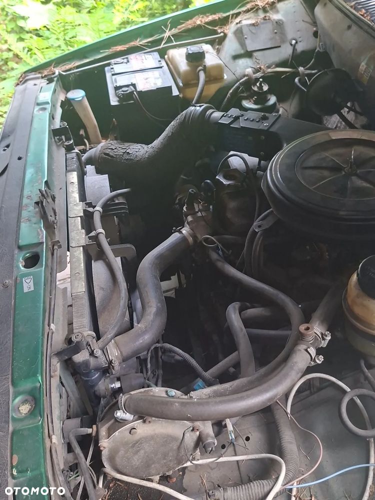 Polonez Caro - 4