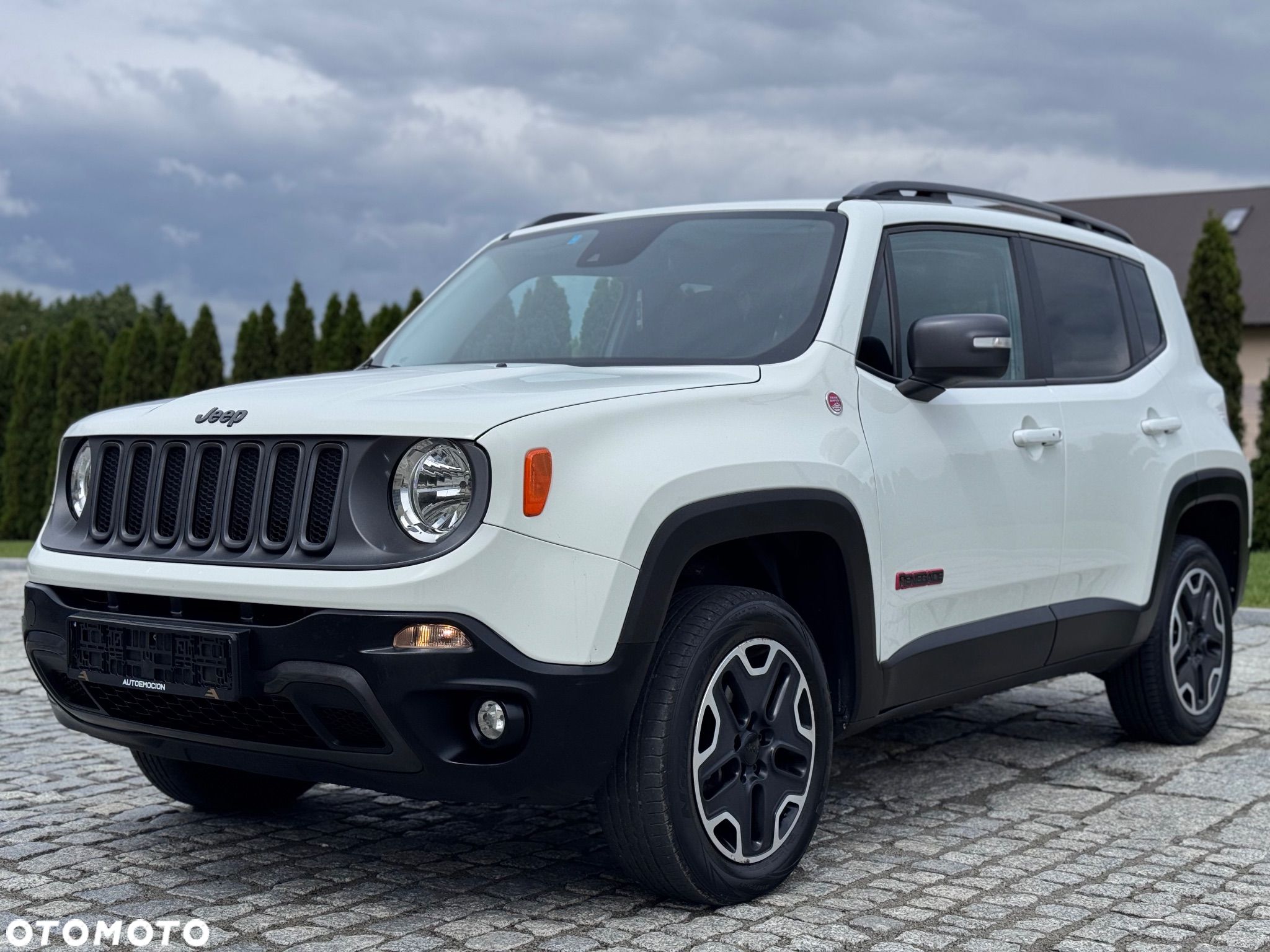Jeep Renegade 2.0 MultiJet Trailhawk 4WD S&S - 1