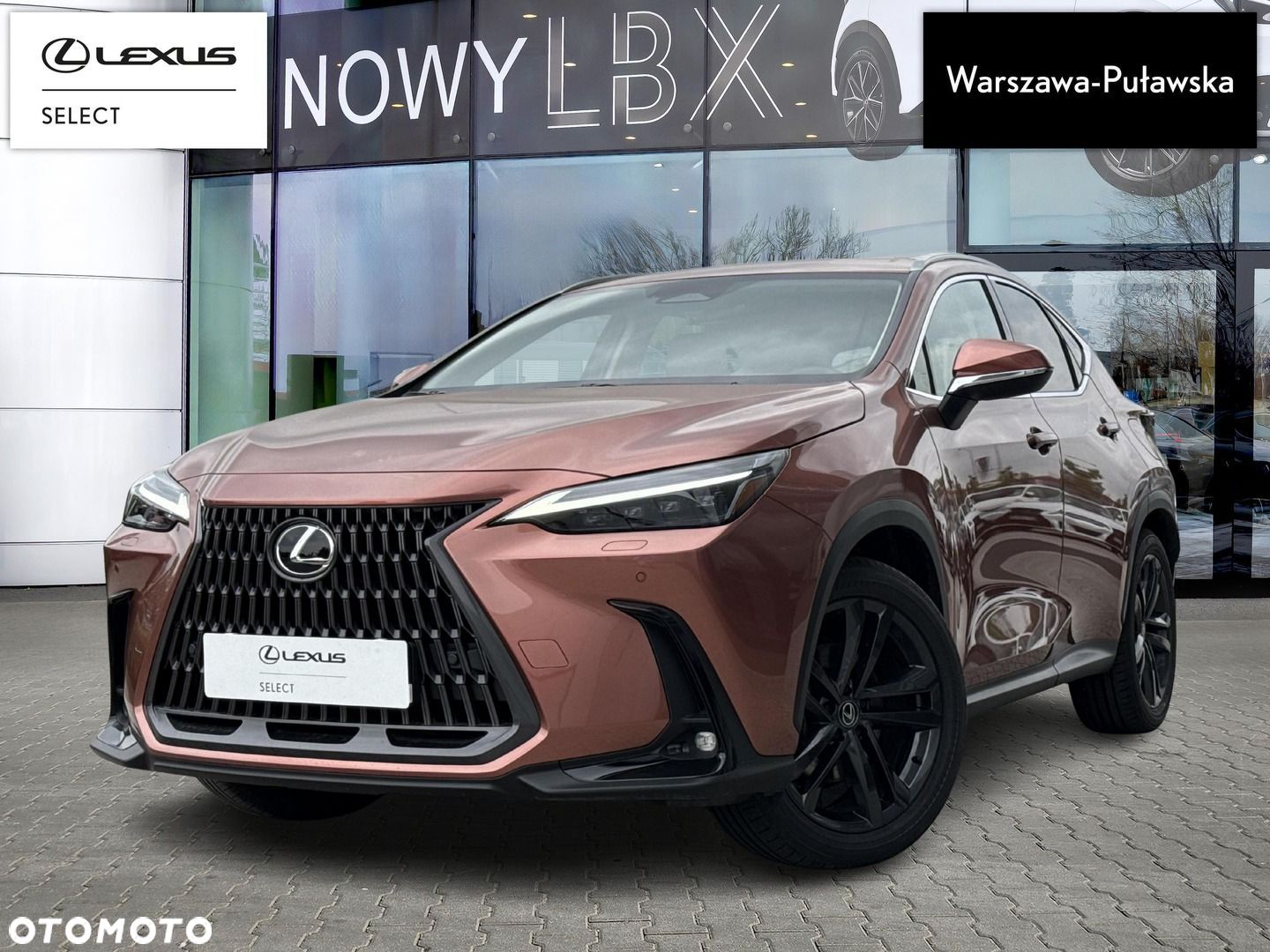 Lexus NX - 1