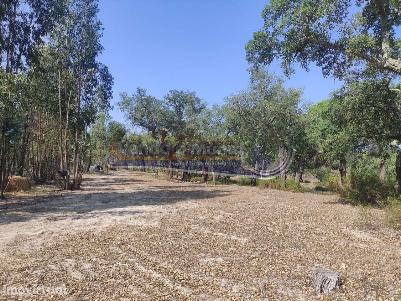 Monte Alentejano em Mora (MOR037) - Grande imagem: 4/32