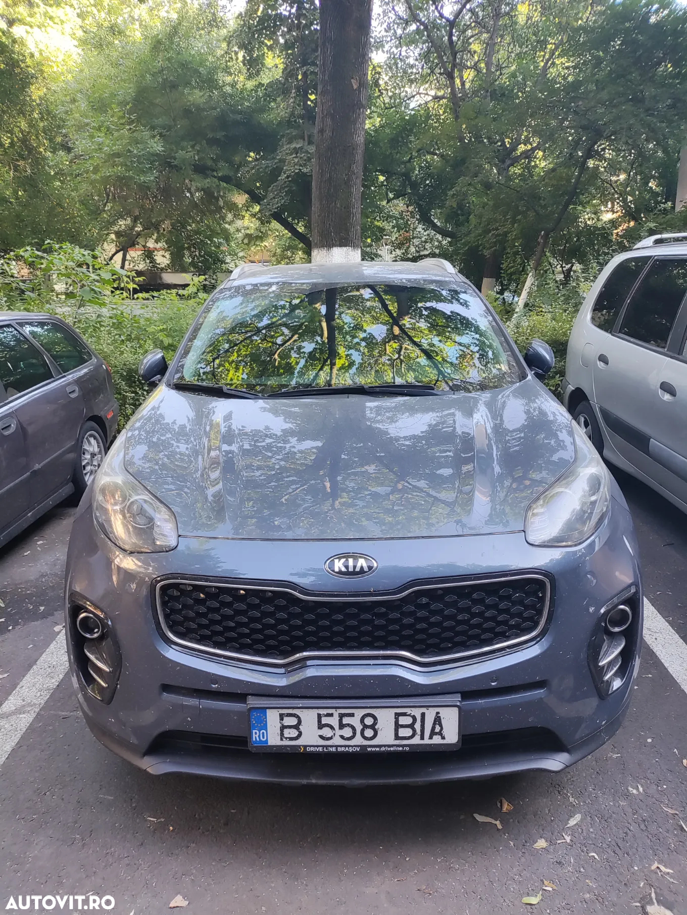 Kia Sportage - 5