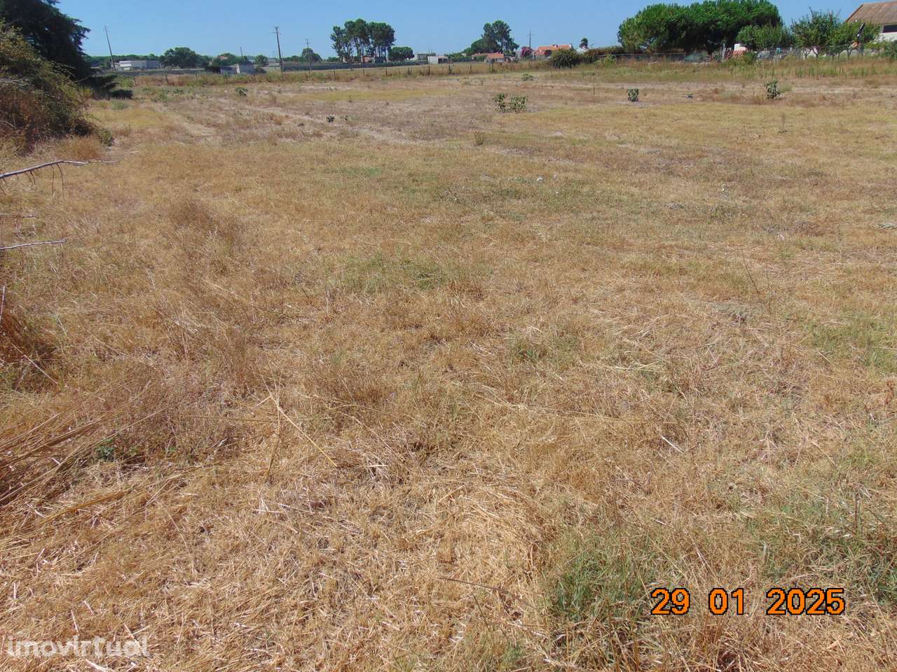 Terreno Rústico 5.000 m² - terrim -Pinhal Novo - Grande imagem: 2/5