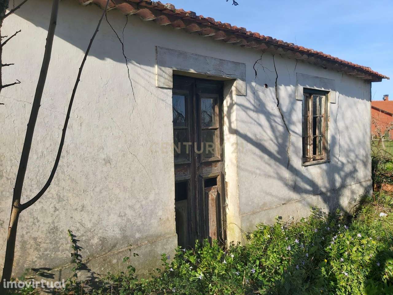 Moradia T3, Infesta, Pombal - Grande imagem: 2/20