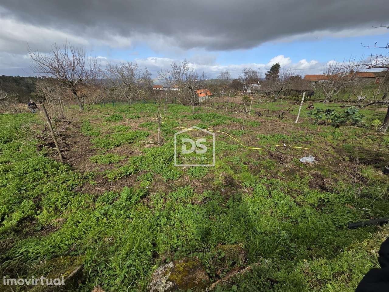 Terreno  Venda em Armamar,Armamar - Grande imagem: 3/7