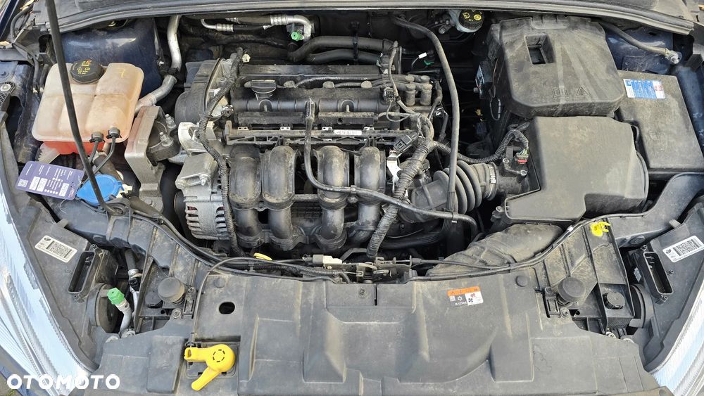 Ford Focus 1.6 TI-VCT Titanium - 27