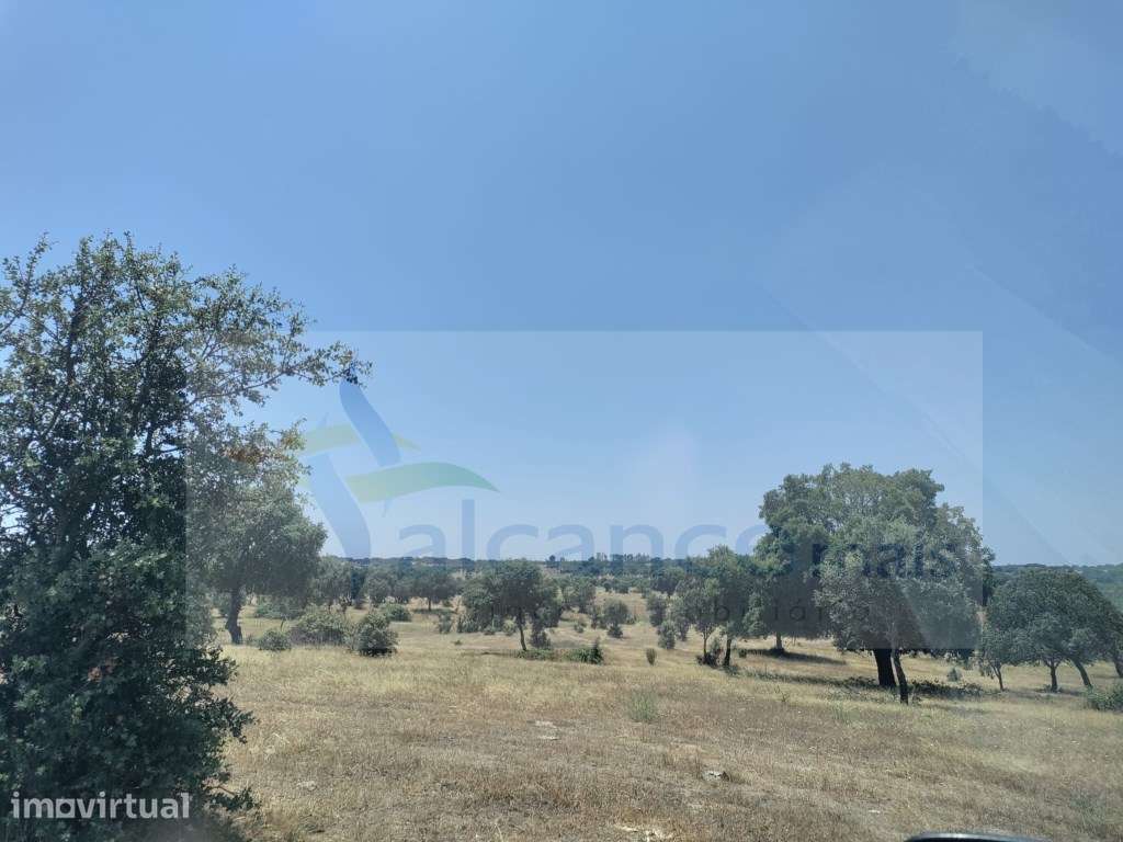 Herdade de Excelência na Zona do Crato 190 Hectares - Grande imagem: 4/9