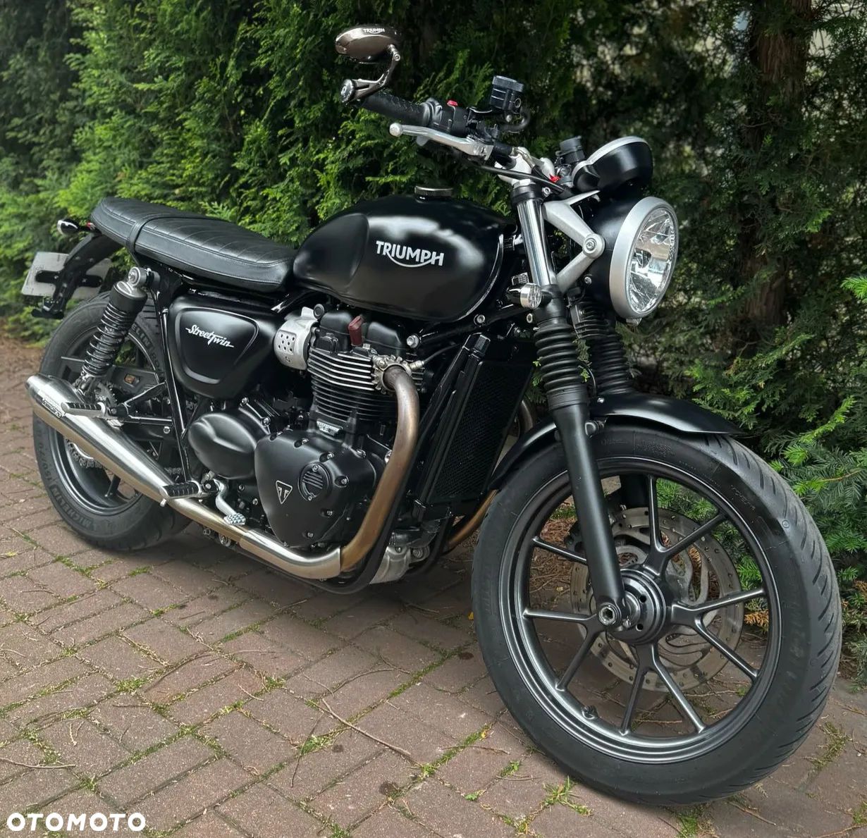 Triumph Speed Twin - 1
