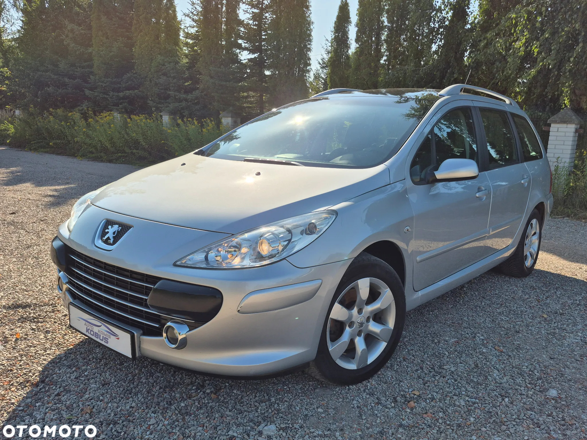 Peugeot 307 - 39