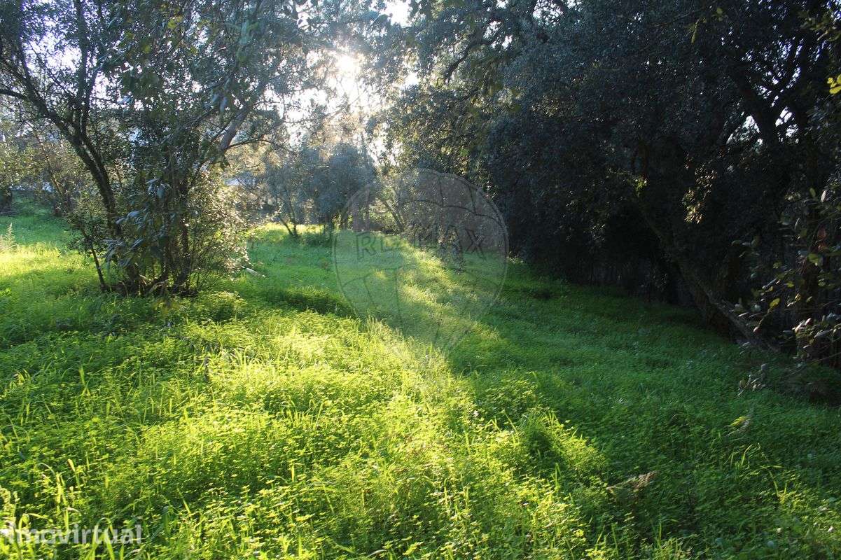 Terreno  para venda - Grande imagem: 4/8