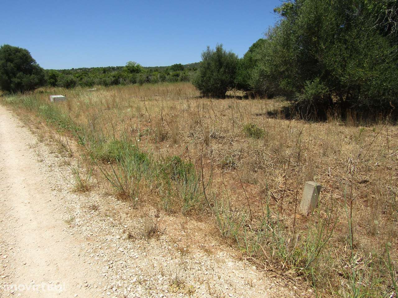 Terreno Rústico - Grande imagem: 5/8