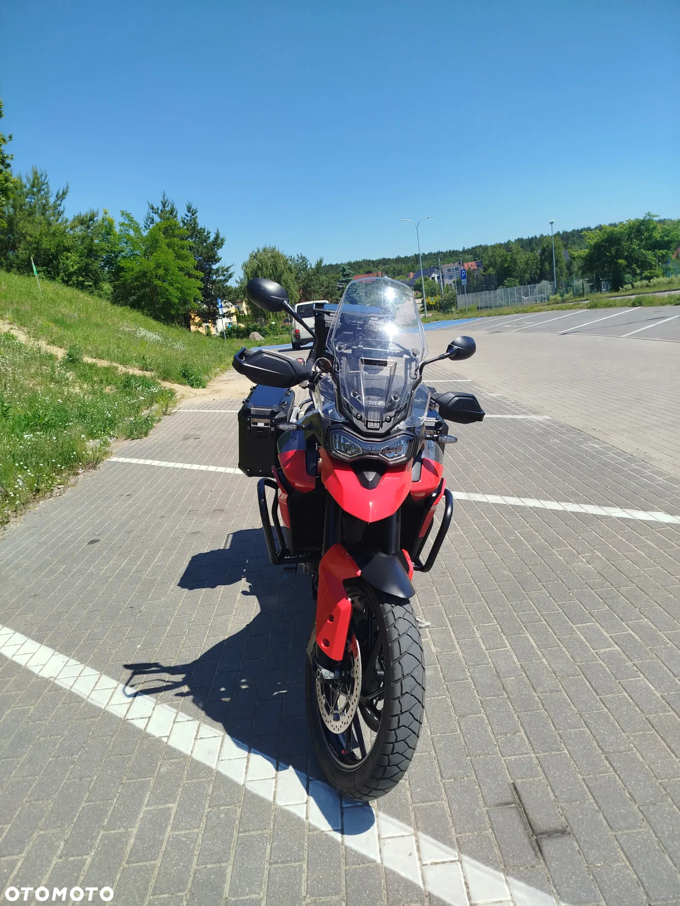 Triumph Tiger - 2