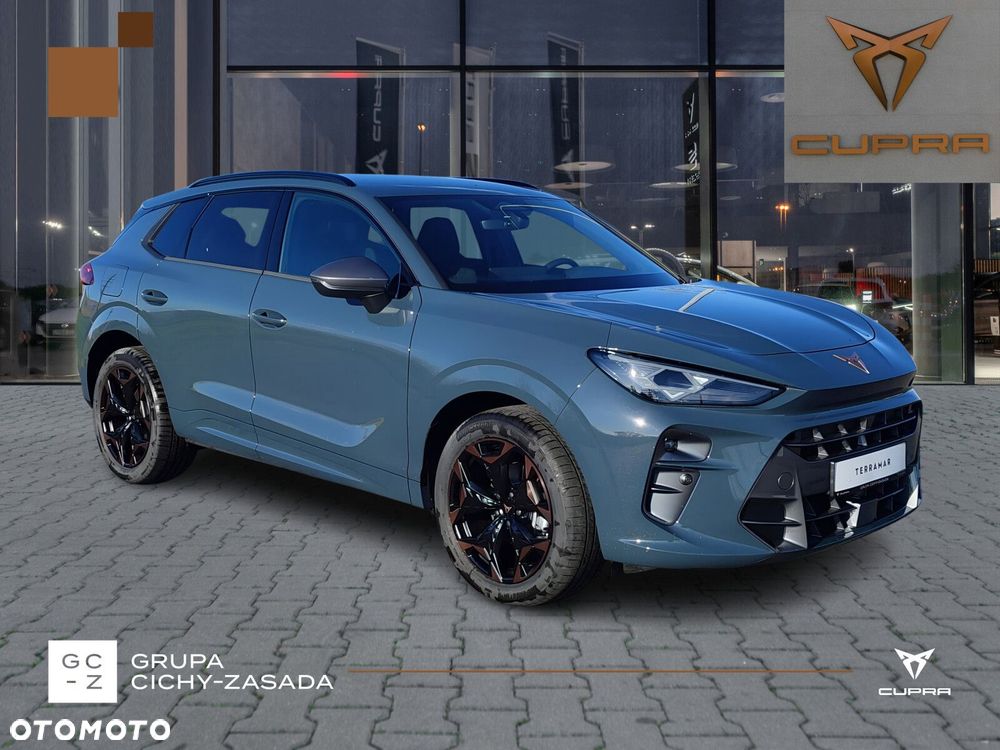 Cupra Terramar - 10