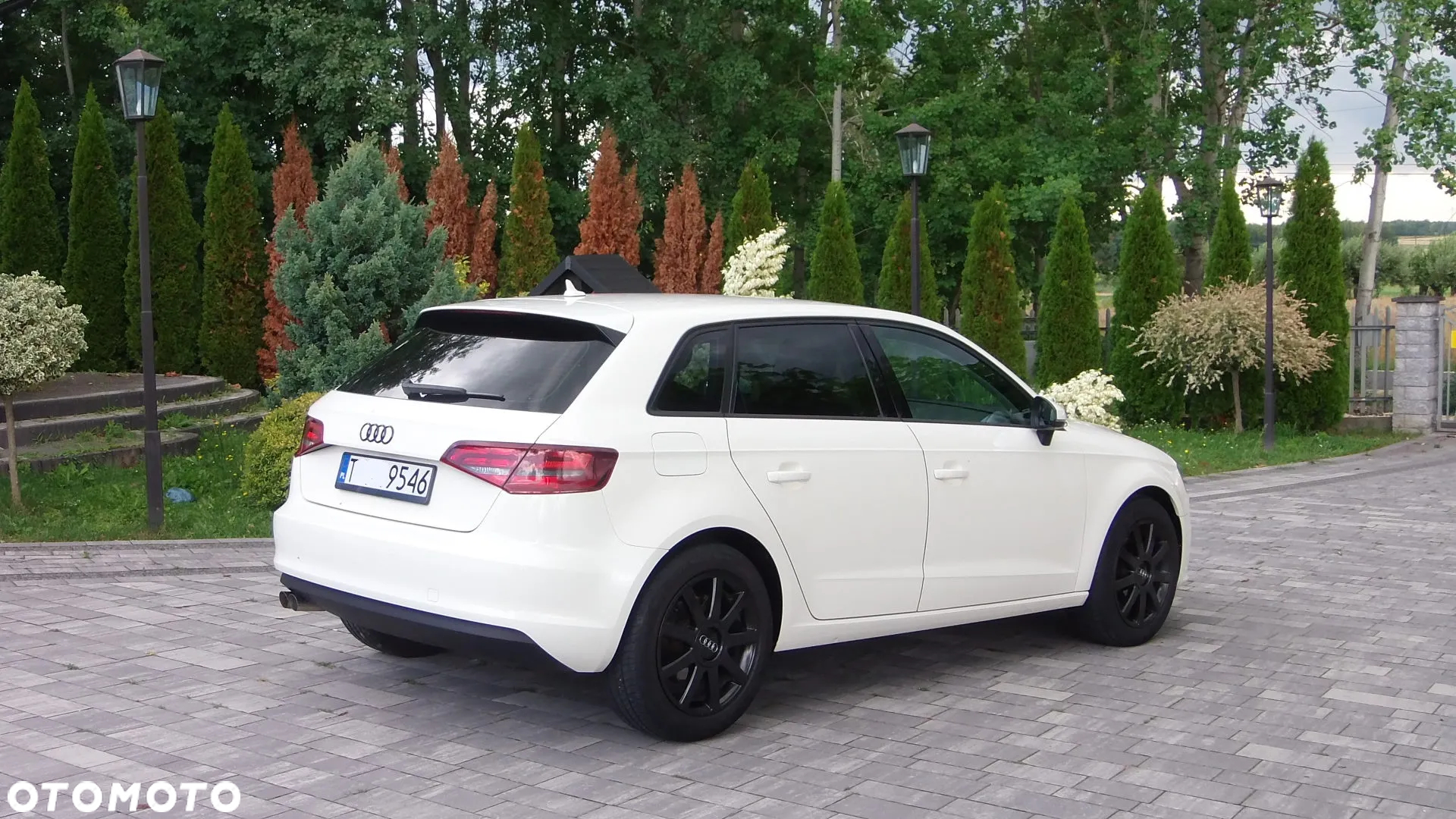 Audi A3 1.6 TDI Sportback - 5