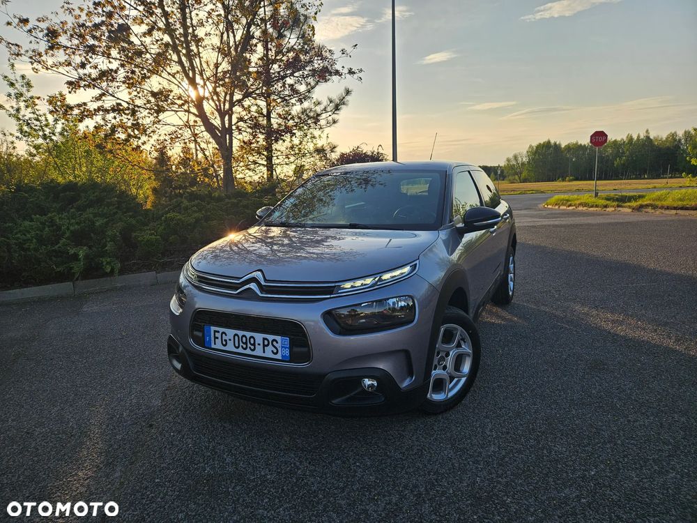 Citroën C4 Cactus 1.5 BlueHDi Shine Pack - 10
