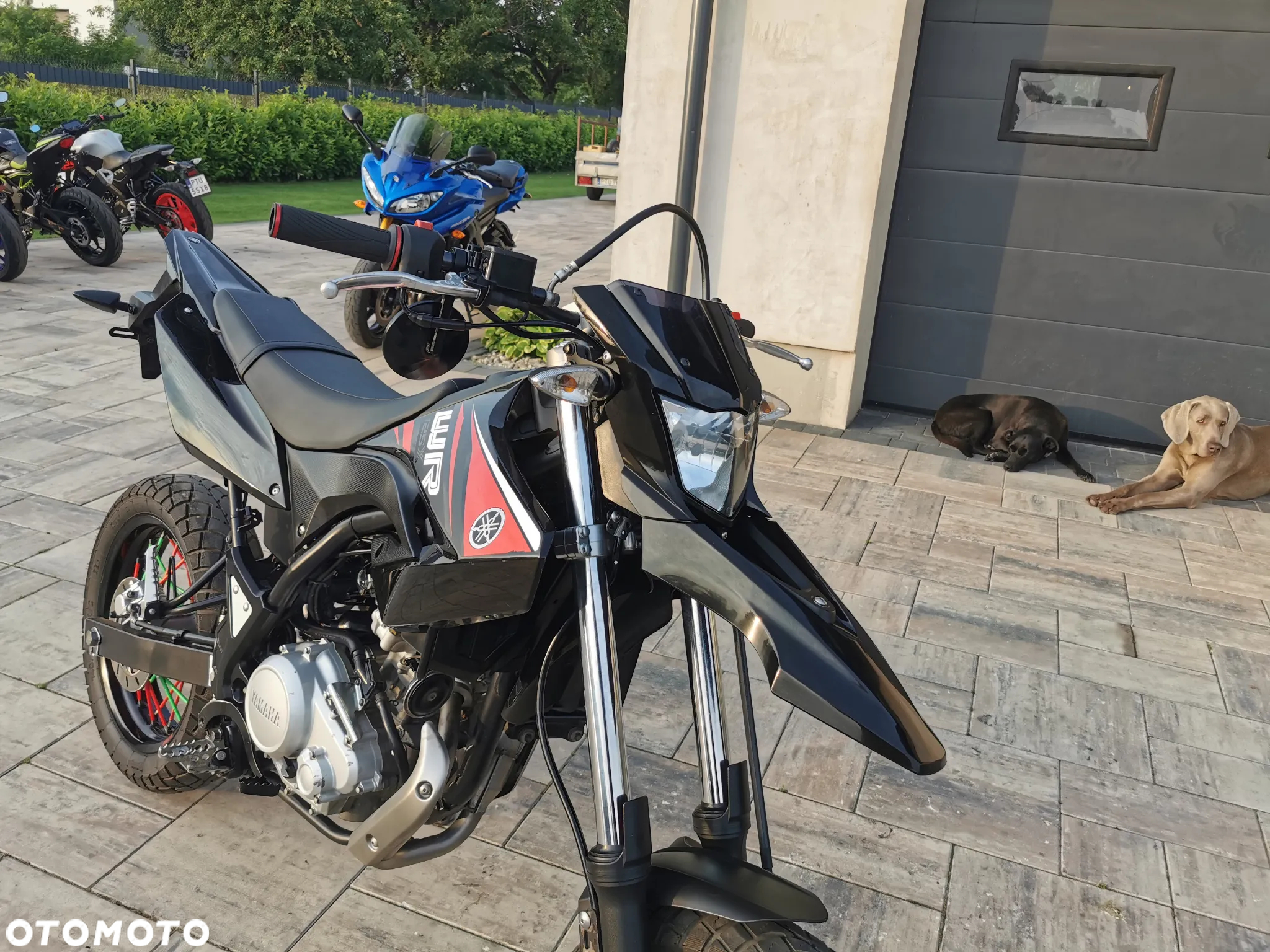 Yamaha WR - 21