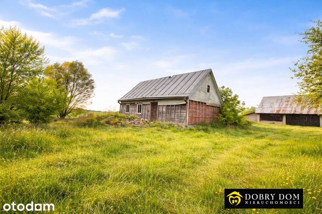 Siedlisko 2,6 ha - Pełny obrazek: 2/9