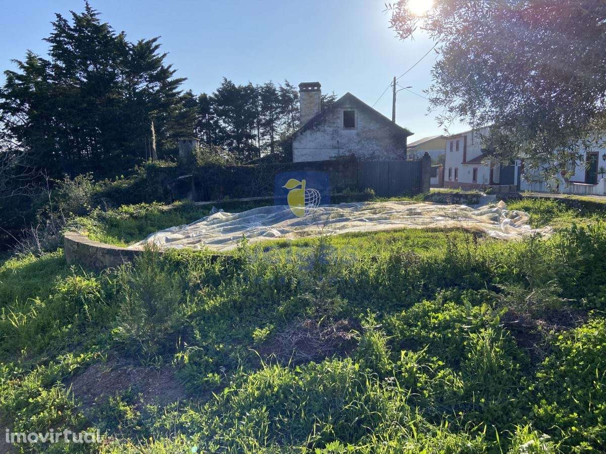 Terreno Salir de Matos - Grande imagem: 2/13