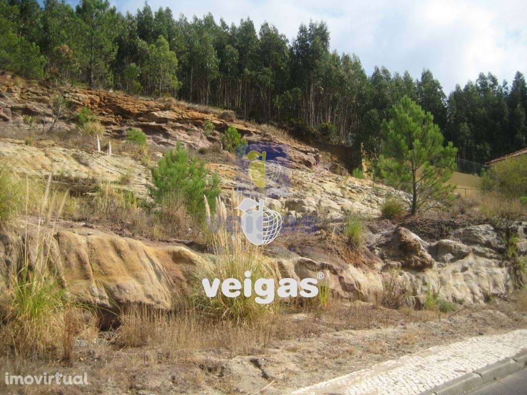 Terreno na Venda do Pinheiro - Grande imagem: 2/30