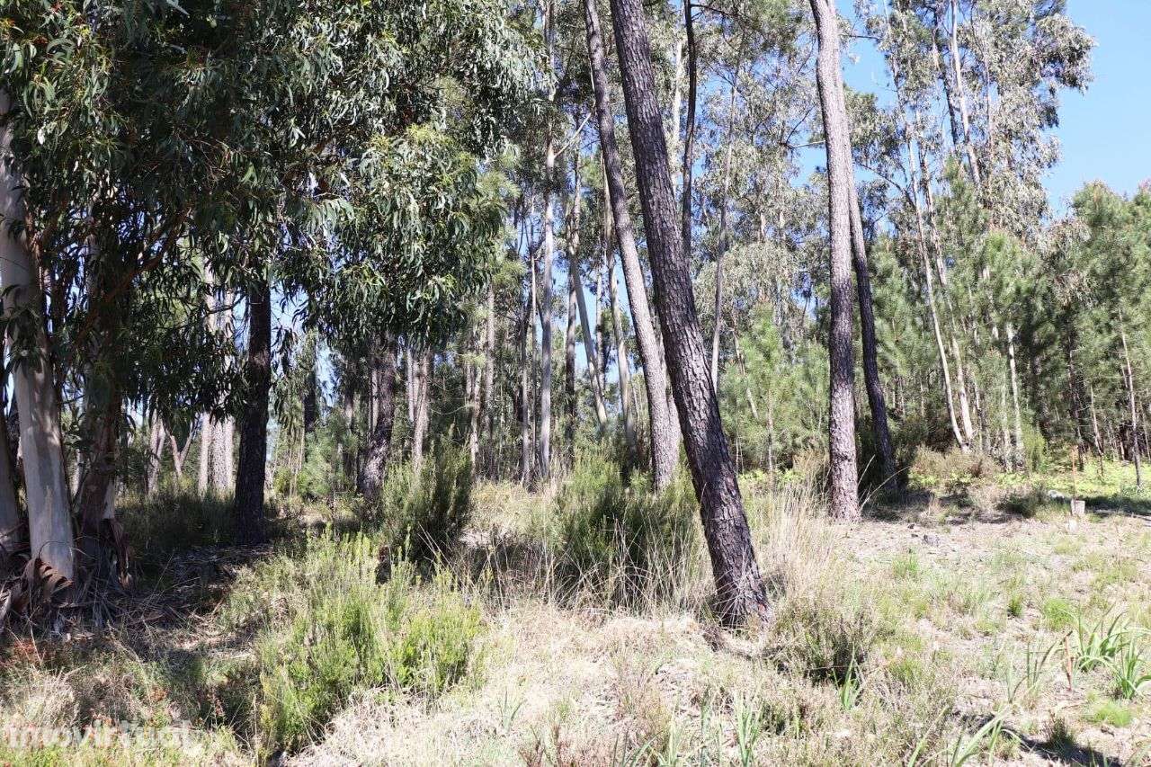 Terreno para construção - Grande imagem: 5/7