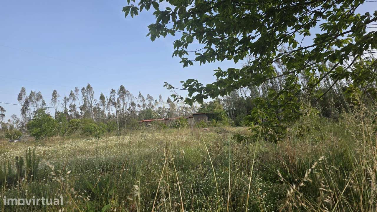 Terreno Industrial com Grande Potencial em Garcia, Marinha Grande | 8 - Grande imagem: 3/15