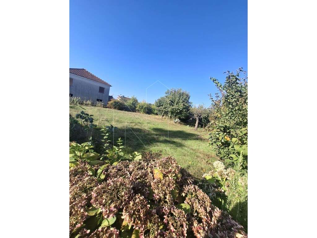 Terreno Urbanizável à Venda em Valongo do Vouga - Águeda - Grande imagem: 2/3