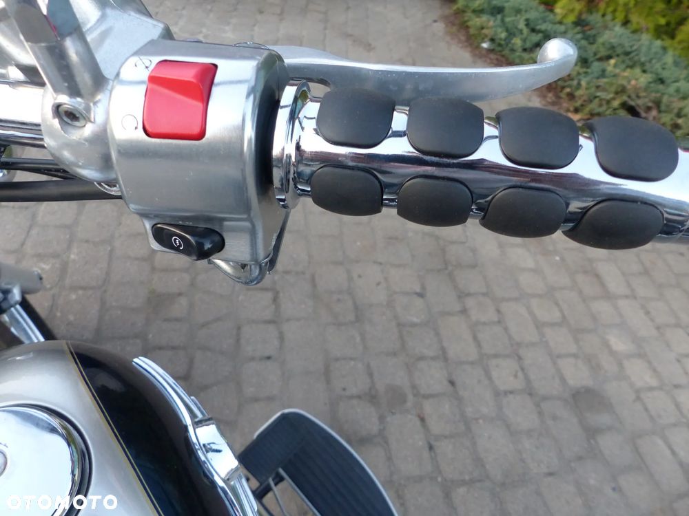 Kawasaki Vulcan - 22