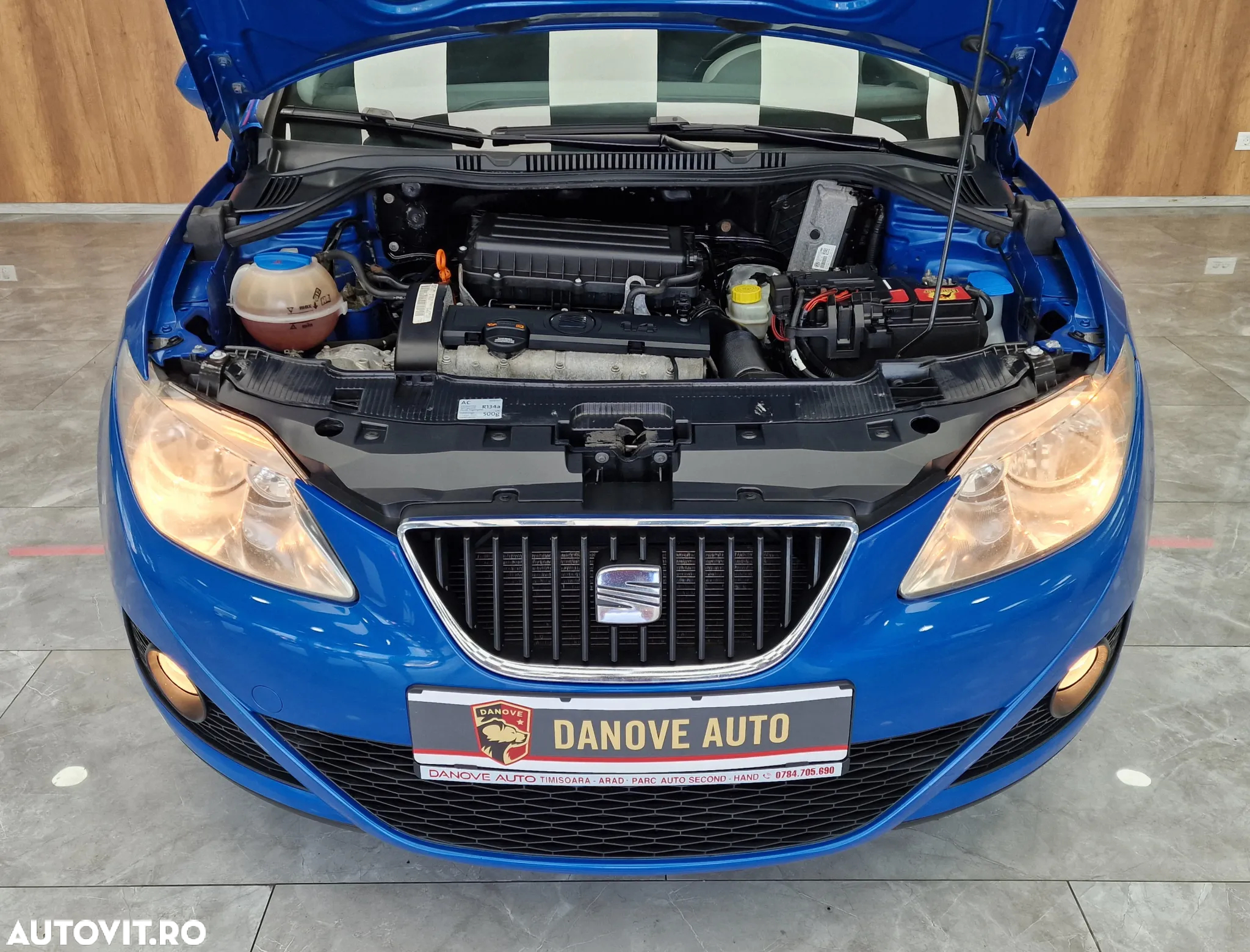 Seat Ibiza - 25