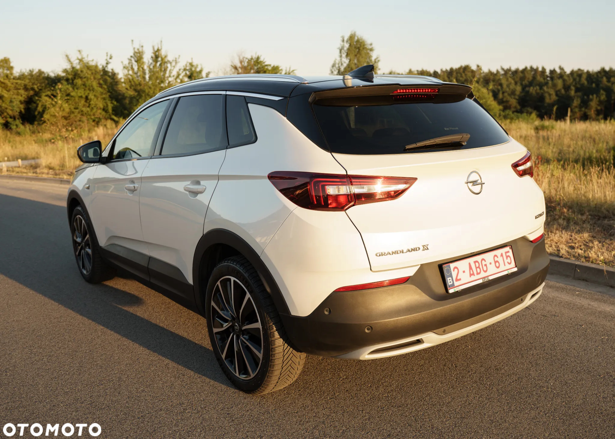 Opel Grandland X 1.5 CDTI Ultimate S&S - 5