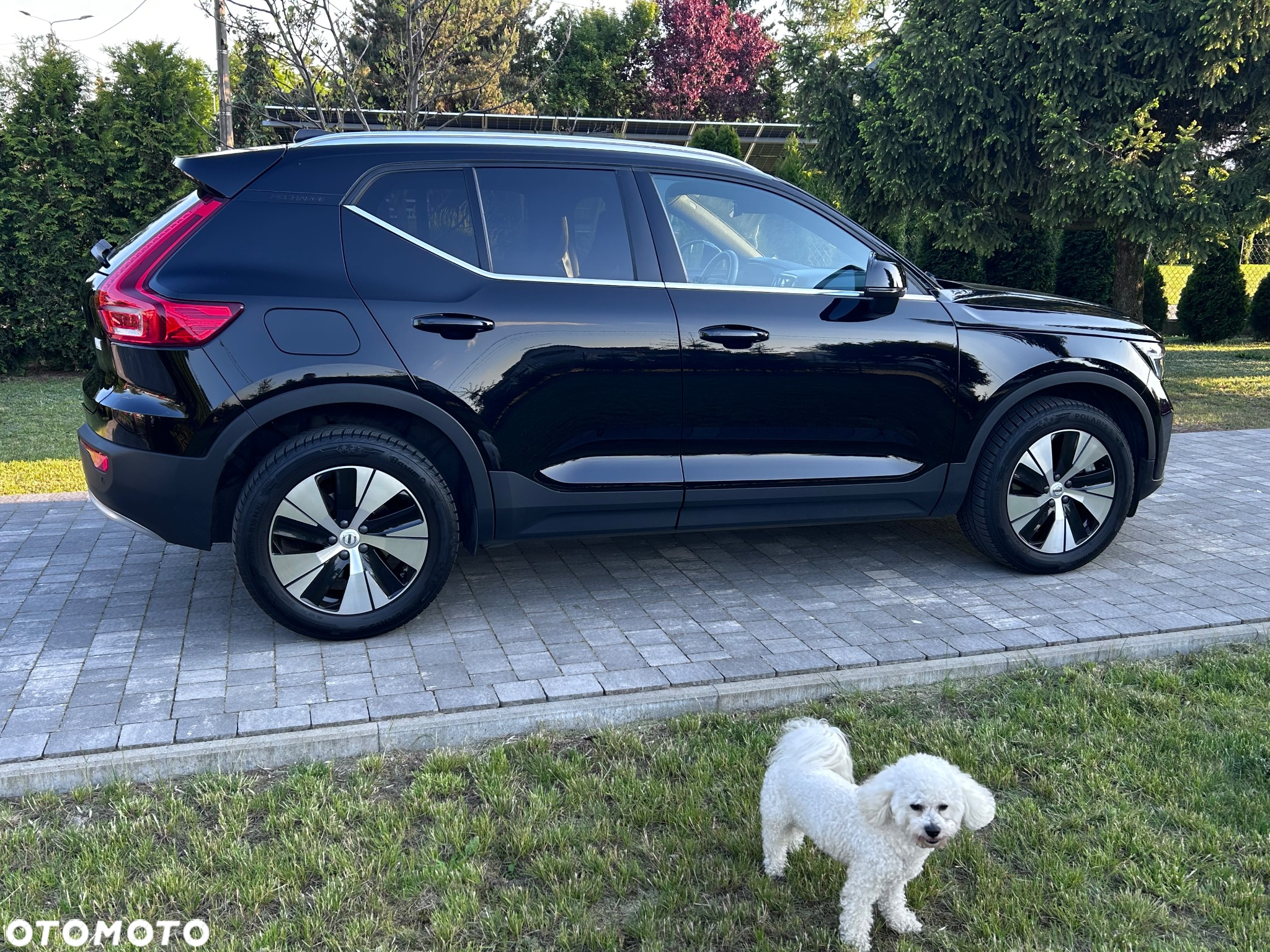 Volvo XC 40 T4 Plug-In Hybrid Plus Dark - 12