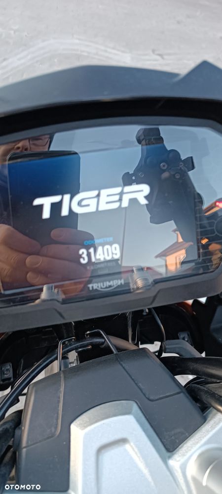 Triumph Tiger - 31