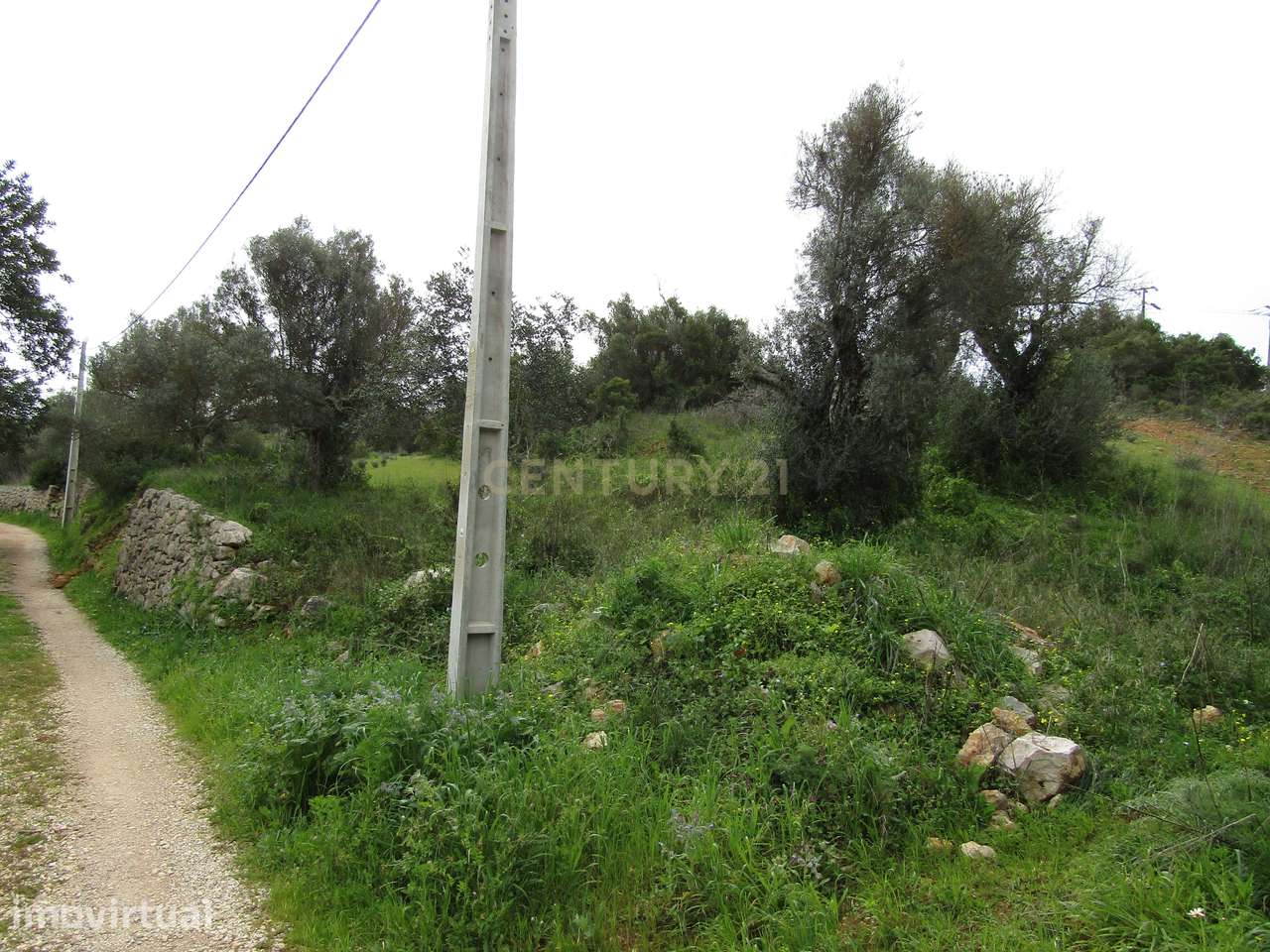 Terreno Rustico em Paderne - Grande imagem: 2/12
