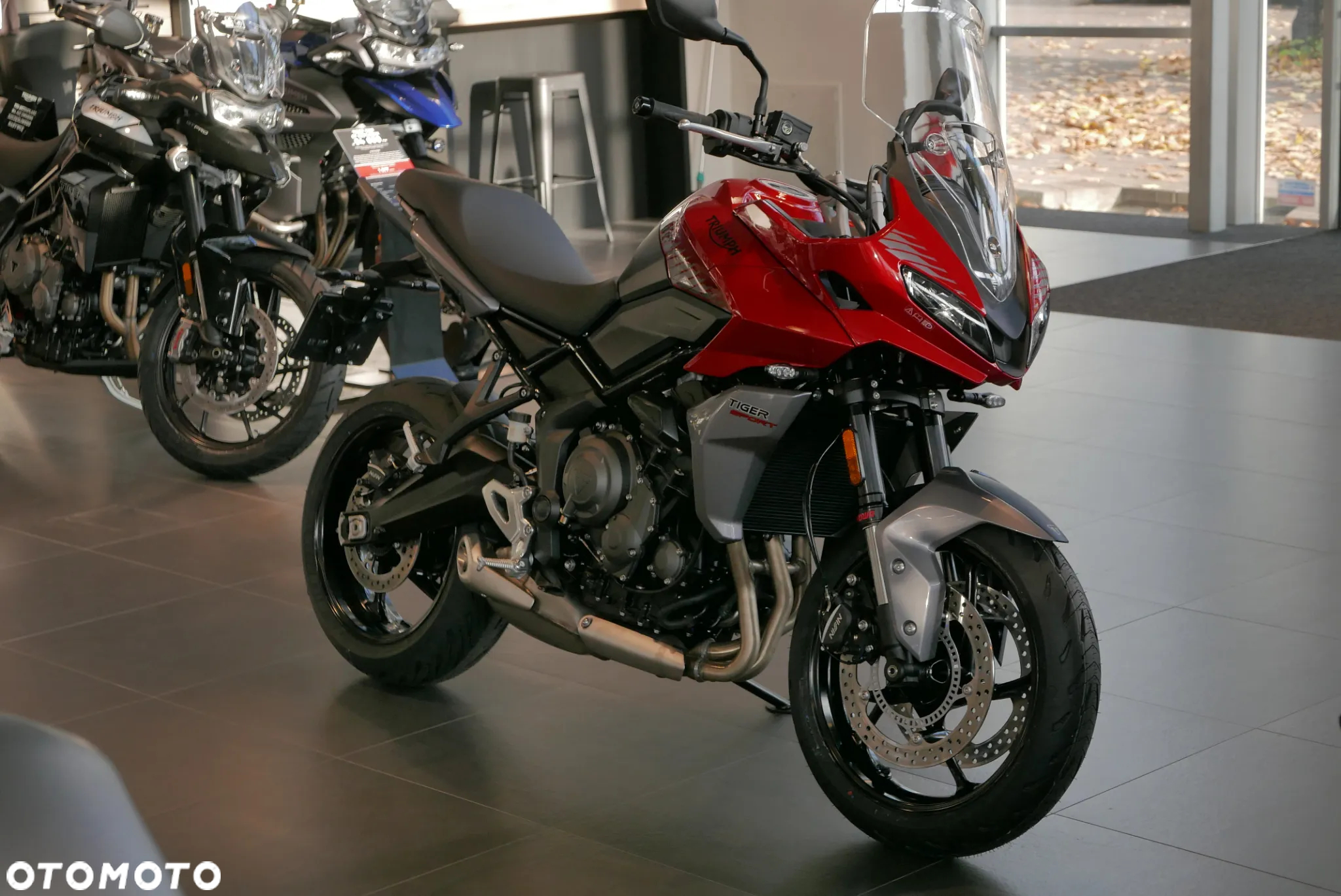 Triumph Tiger - 8