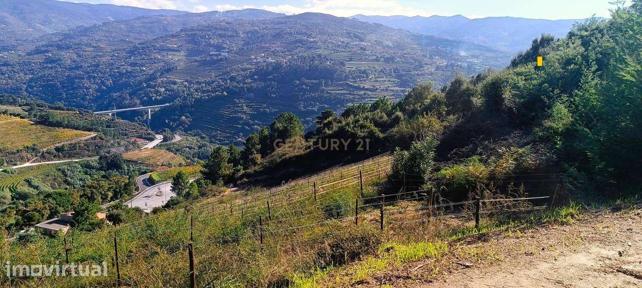 Terreno agrícola em solarenga encosta de Santa Marinha do Zêzere, Baiã - Grande imagem: 2/21