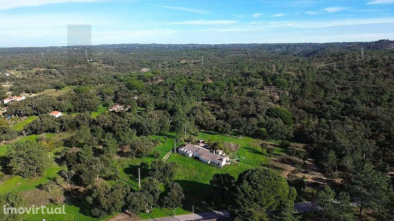 Quintinha Exclusiva a 5 Minutos da Praia: O Cenário Perfeito para o Se - Grande imagem: 2/23