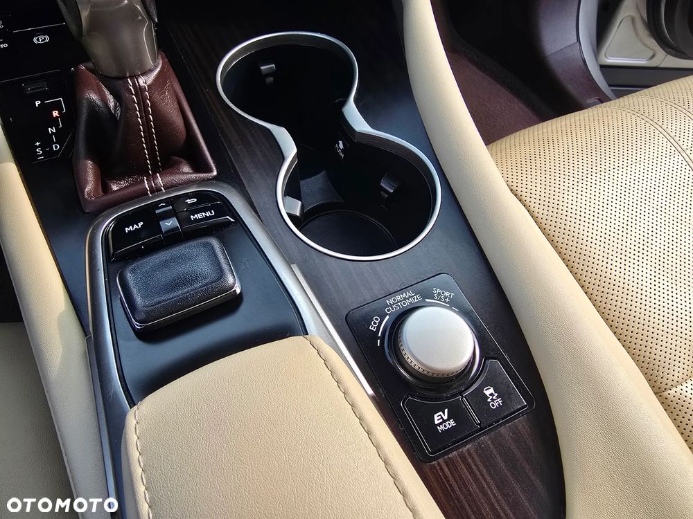 Lexus RX 450h (hybrid) Luxury Line - 23