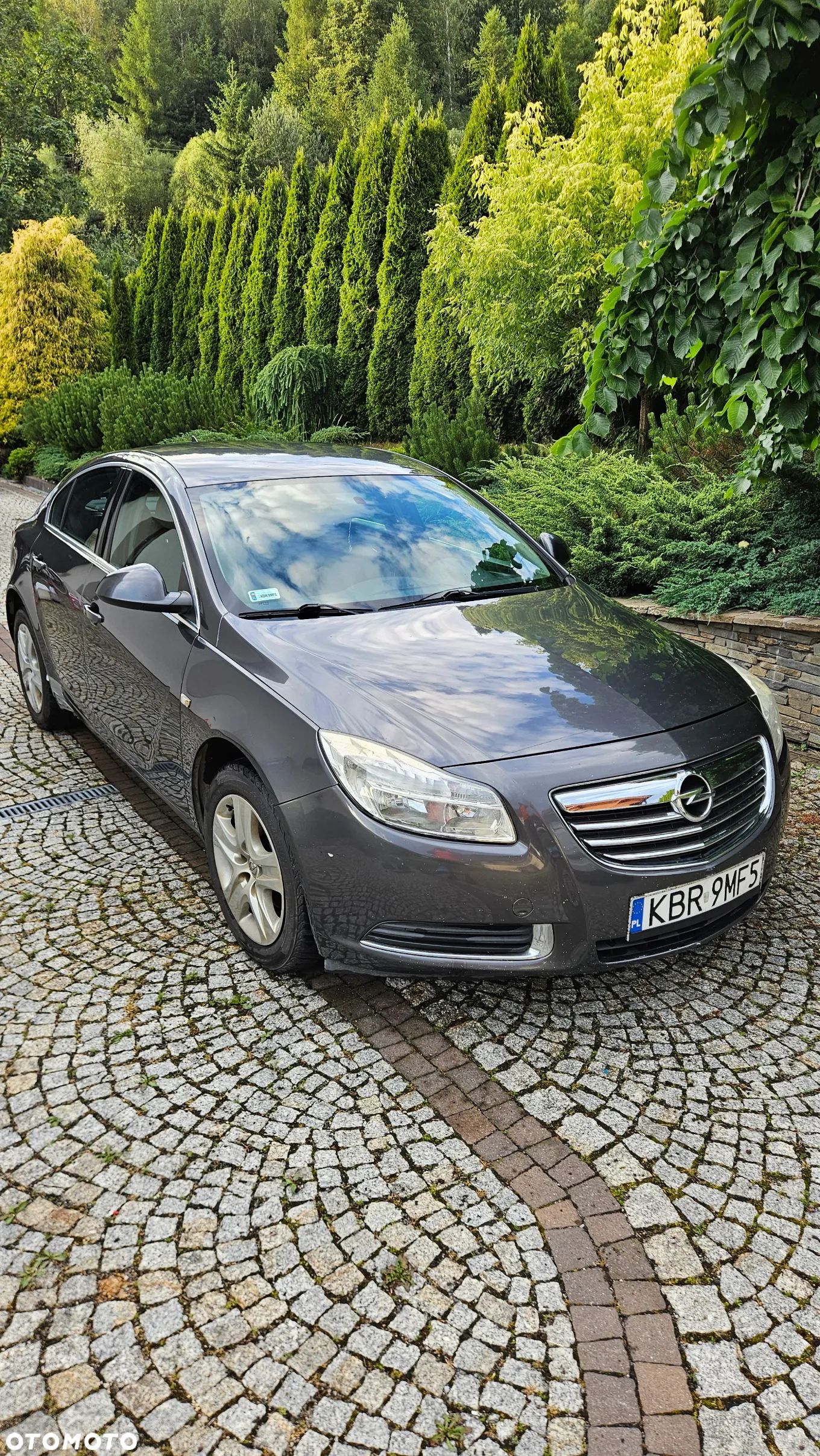 Opel Insignia 2.0 CDTI - 1
