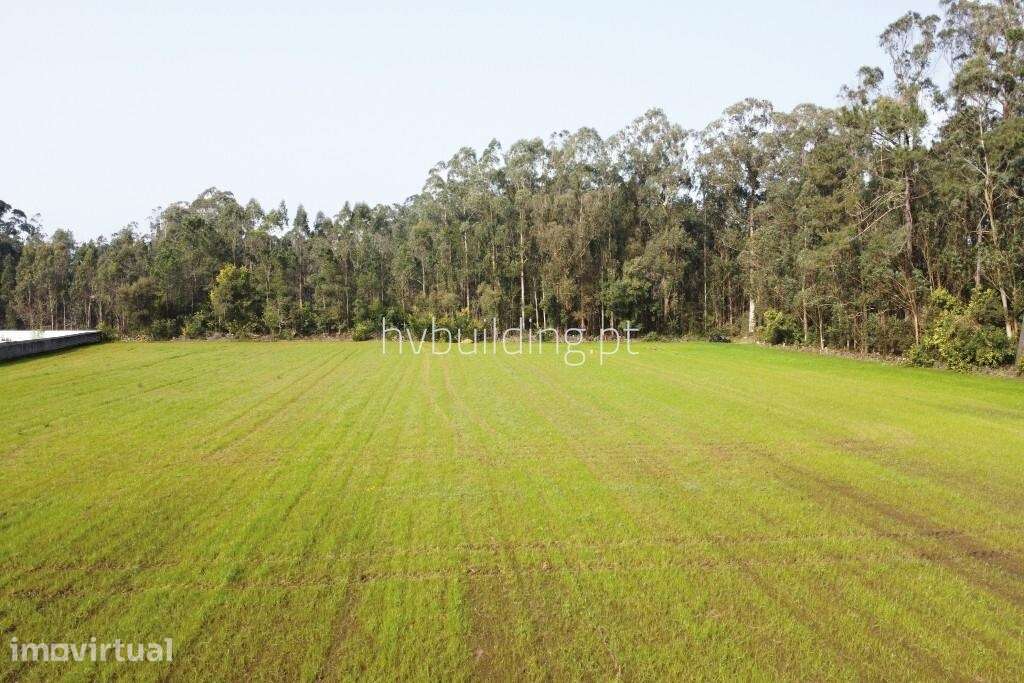 Terreno para construção em Gemeses, Esposende - Grande imagem: 4/9