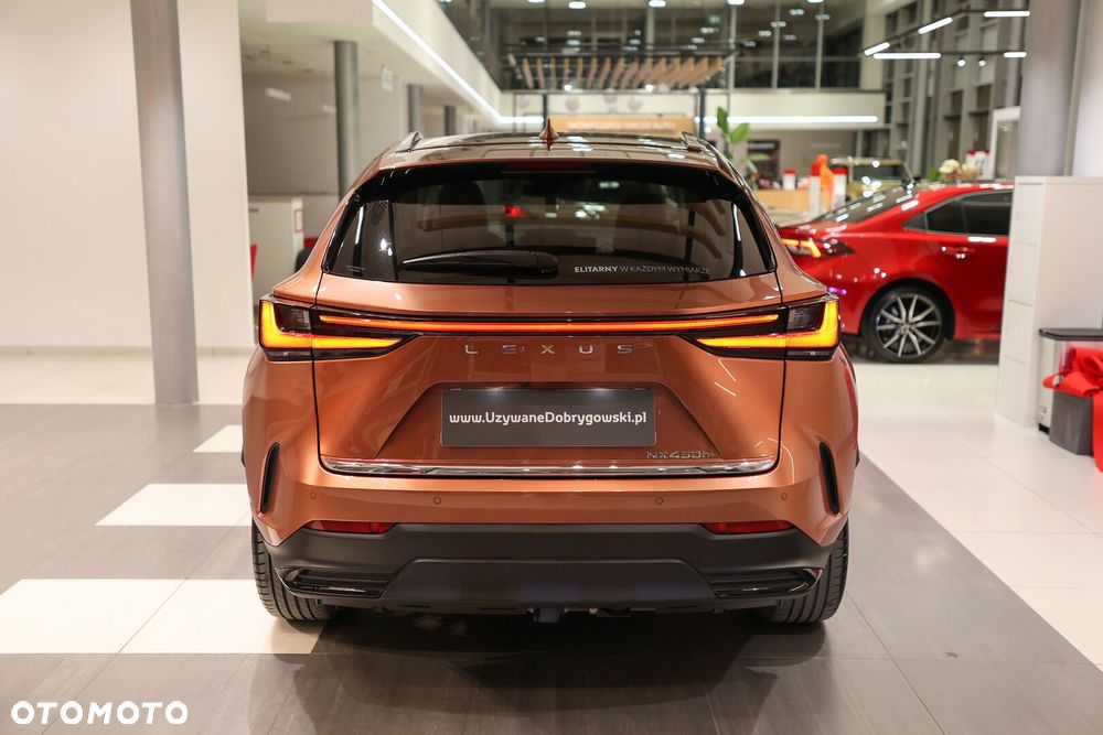 Lexus NX - 6